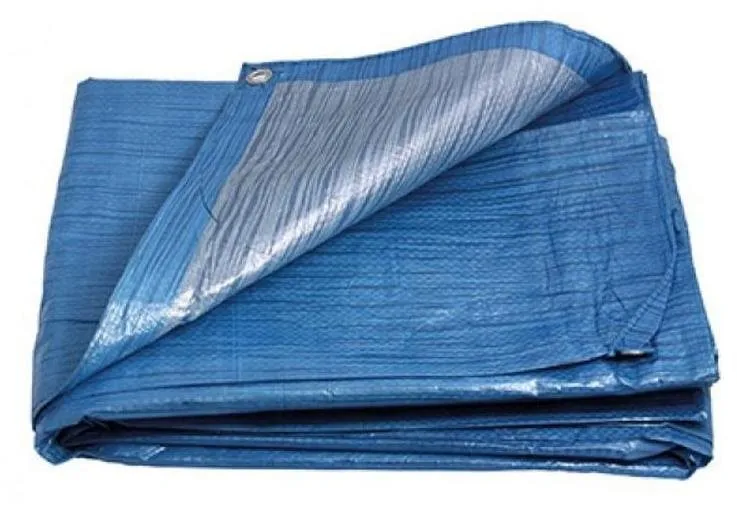 Zakrývacia fólia FESTA Plachta PE 2 x 3 m, P6, modrá, 25006