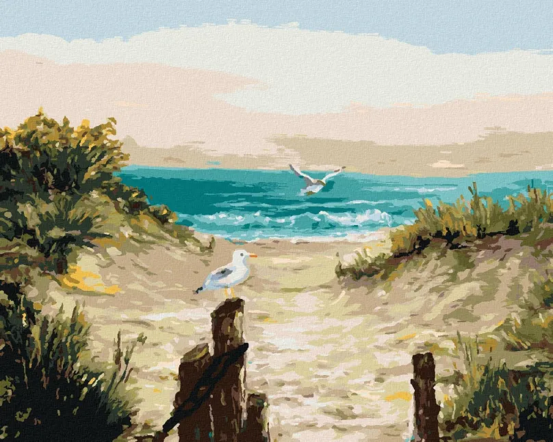 Maľovanie podľa čísel Plážové duny s čajkami, 40x50 cm, bez rámu a bez vypnutia plátna