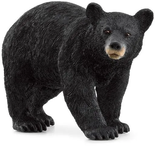 Figúrka Schleich Medveď čierny 14869