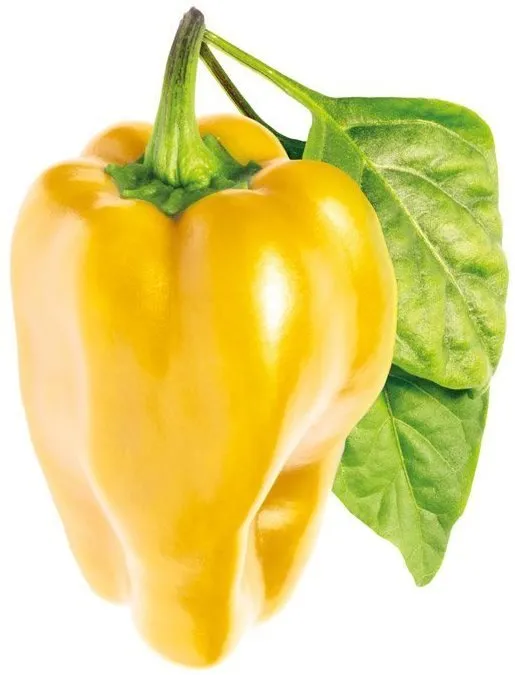 Sadenice Click and Grow Sladká žltá paprika