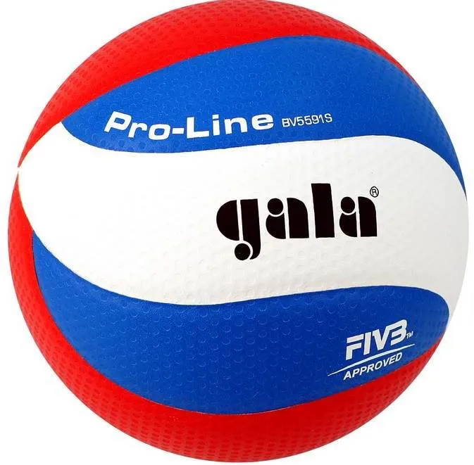 Volejbalová lopta Gala Pro Line BV 5591 S