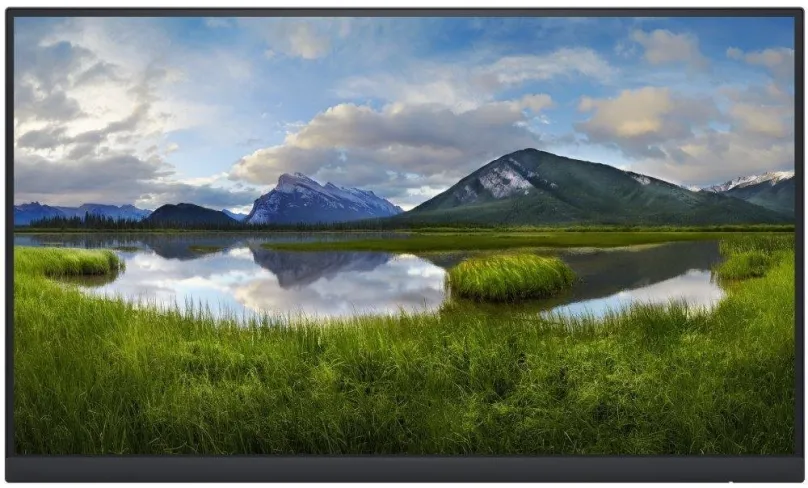 LCD monitor 21.5" Dell P2222H - Bez stojana