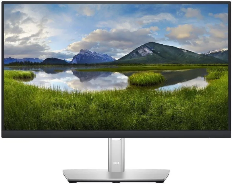 LCD monitor 21.5" Dell P2222H Professional