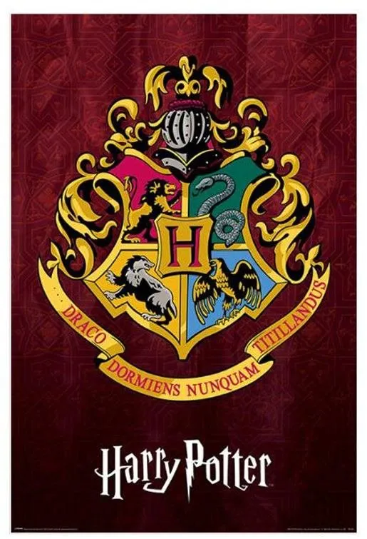 Plagát Harry Potter - Rokfortská škola čiar a kúziel