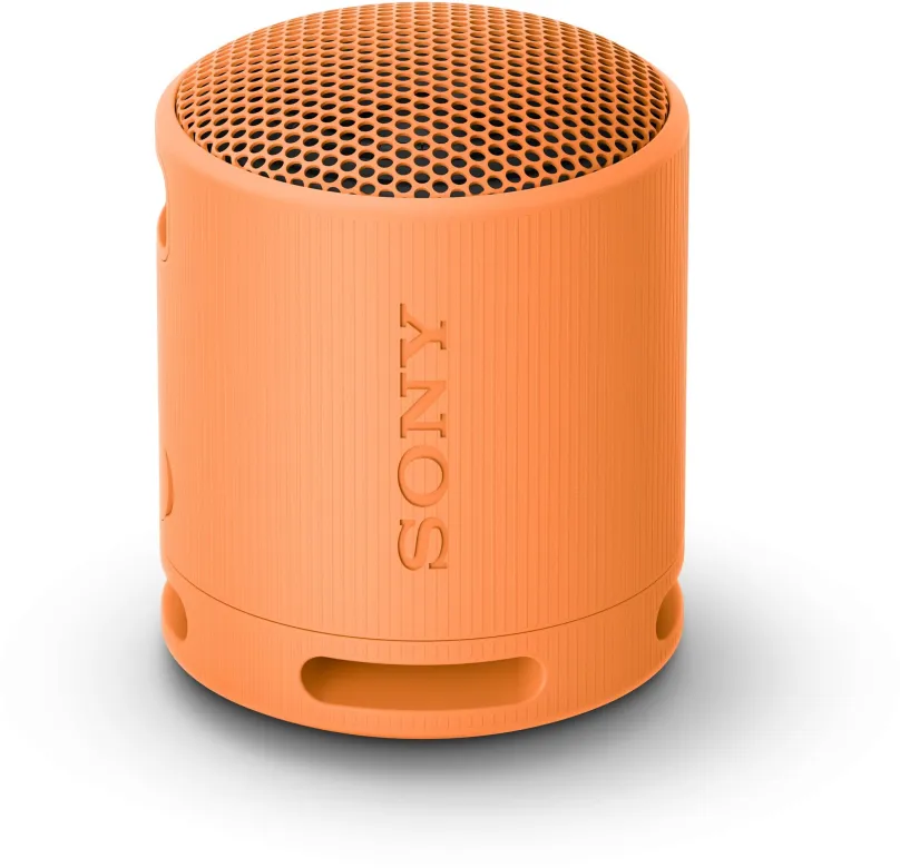 Bluetooth reproduktor Sony SRS-XB100 sivá