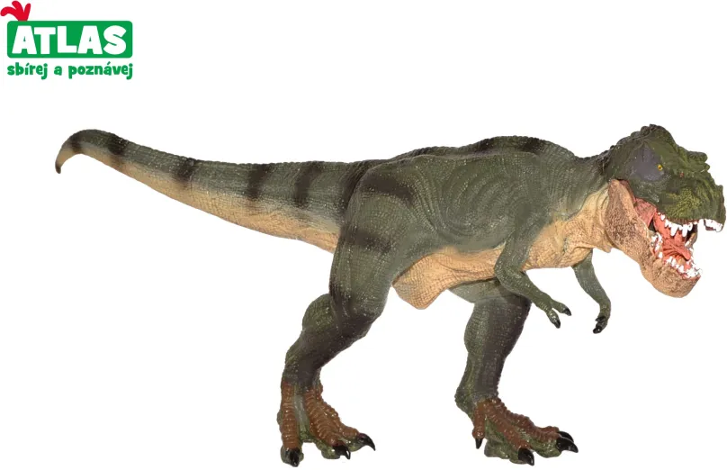 G - Figúrka Dino Tyrannosaurus Rex 31 cm