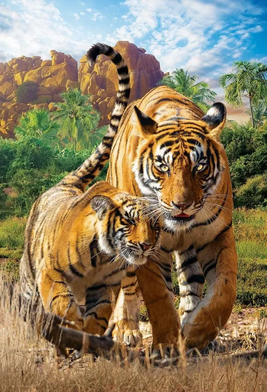 EUROGRAPHICS Puzzle Save Our Planet: Tigre XL 250 dielikov