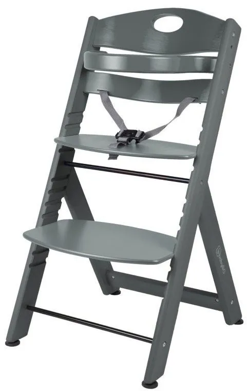 Jedálenská stolička BabyGO FAMILY XL sivá