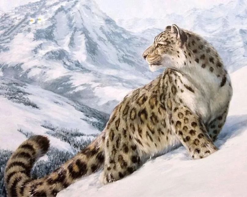 Maľovanie podľa čísel Gaira Snežný leopard M1061