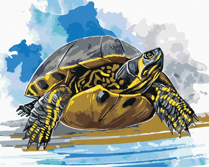 Maľovanie podľa čísel Vodná korytnačka, 80x100 cm, vypnuté plátno na rám