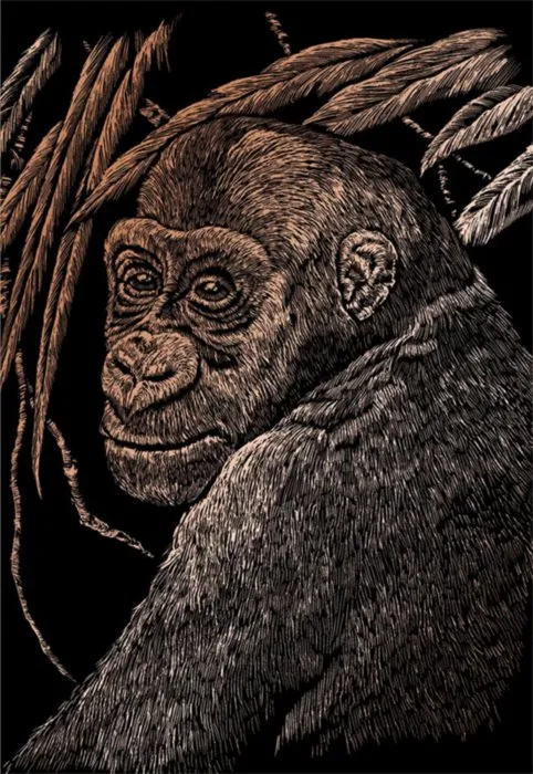 Medený škrabací obrázok Opice