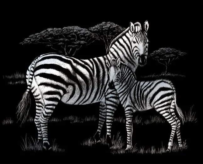 Strieborný škrabací obrázok Zebra s mláďaťom