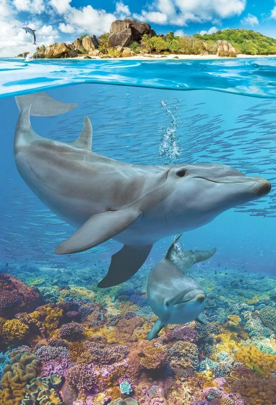 Puzzle Eurographics Puzzle Save Our Planet: Delfíny XL 250 dielikov