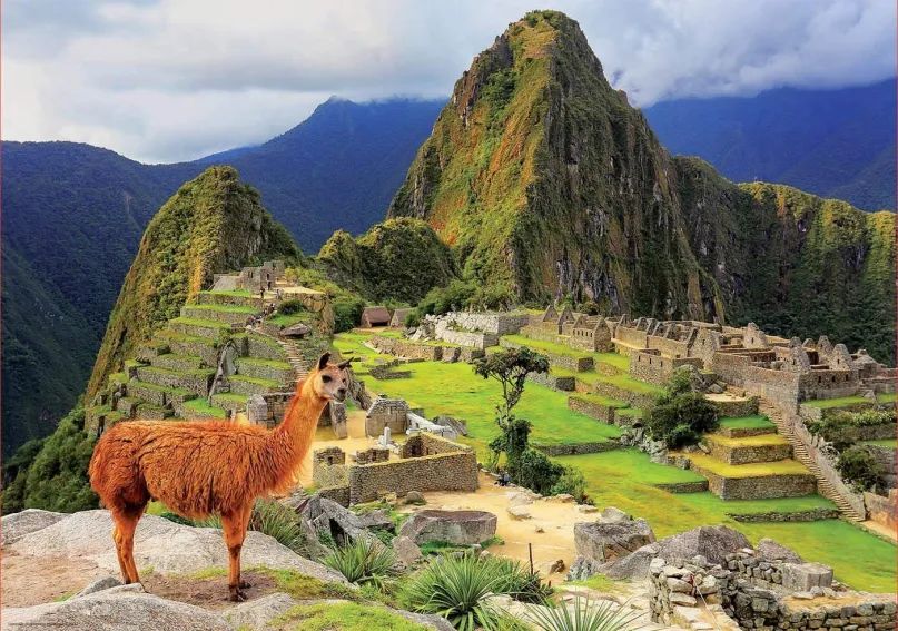 Puzzle Educa Puzzle Machu Picchu, Peru 1000 dielikov