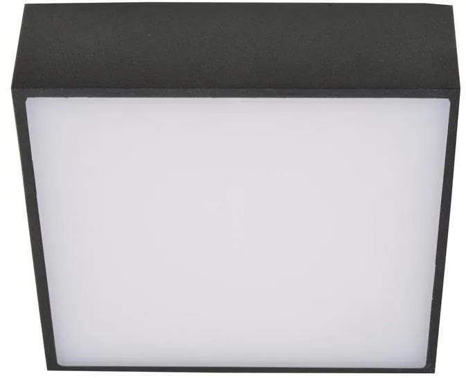 Stropné svetlo Azzardo AZ2783 - LED Stropné svietidlo FALCO LED/12W/230V