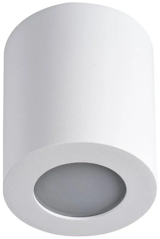 Stropné svetlo Kúpeľňové stropné svietidlo SANI 1xGU10/10W/230V IP44 biela