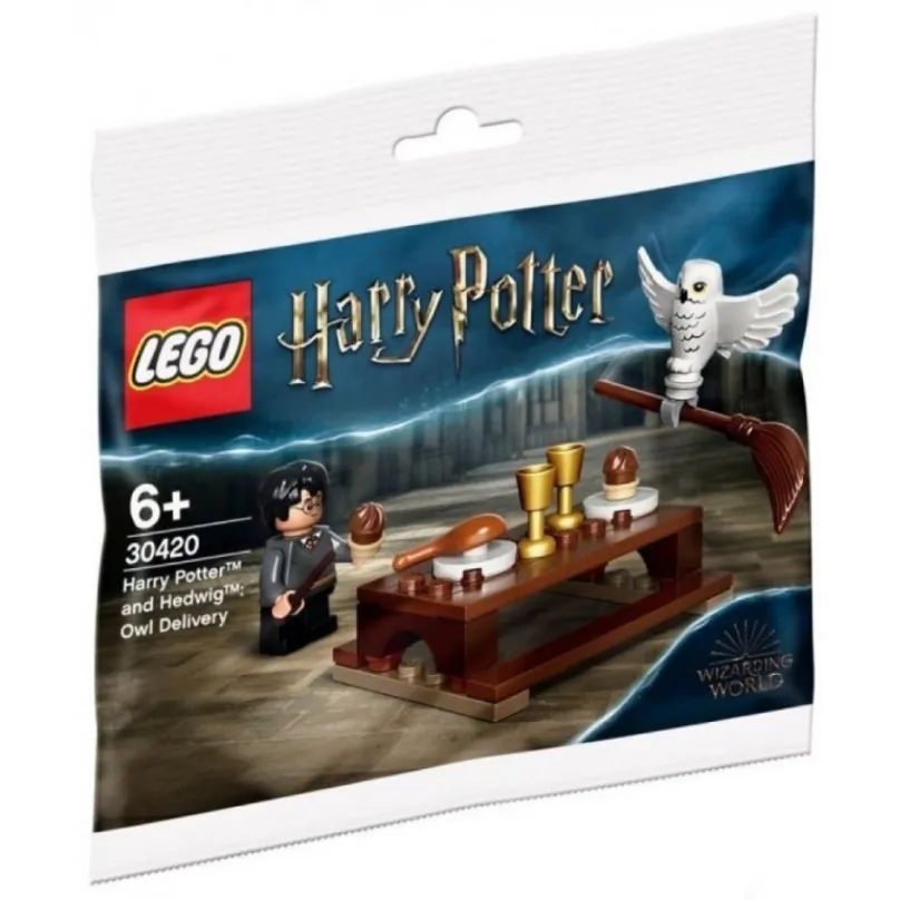 LEGO® Harry Potter 30420 Harry Potter a sovička Hedviga