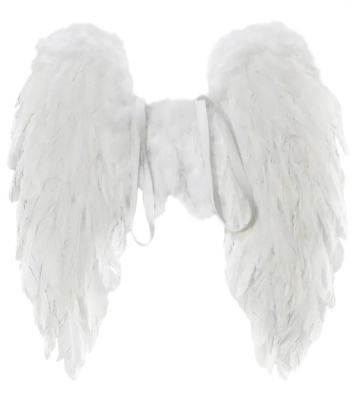 Doplnok ku kostýmu Anjelské krídla z peria 50x50cm