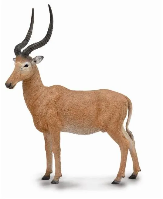 Figúrka Collecta antilopa Hirola