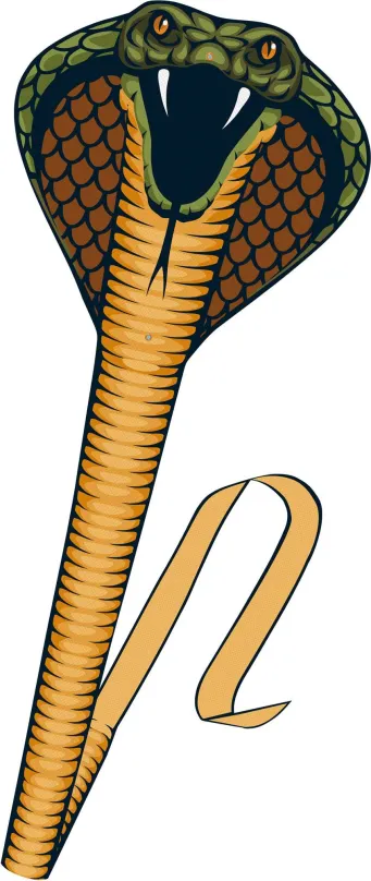 Lietajúci drak Günther Cobra 3D
