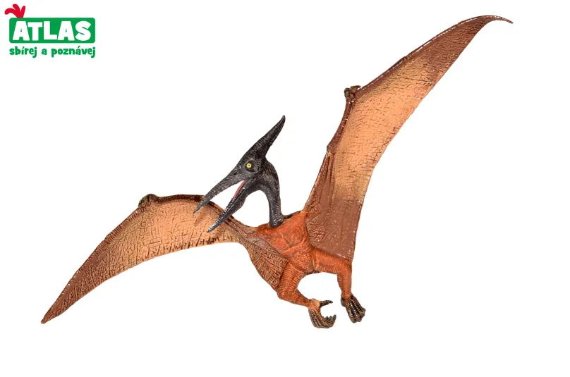C - Figúrka Dino Pteranodon 22 cm