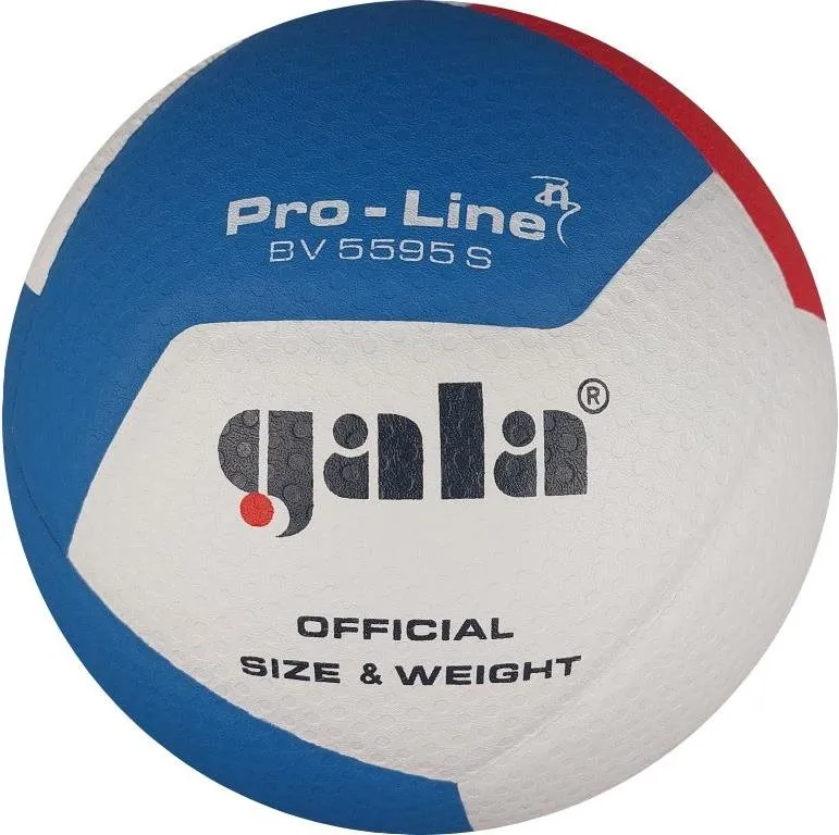 Volejbalová lopta Gala Pro Line 12 BV 5595 S