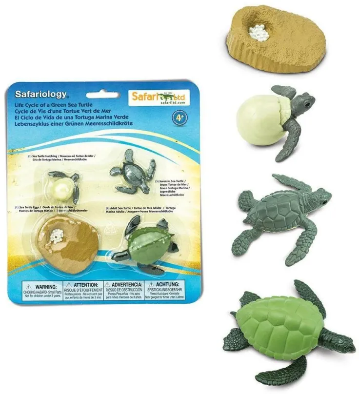 Vzdelávacia hračka Safari Ltd. Životný cyklus - Morská korytnačka