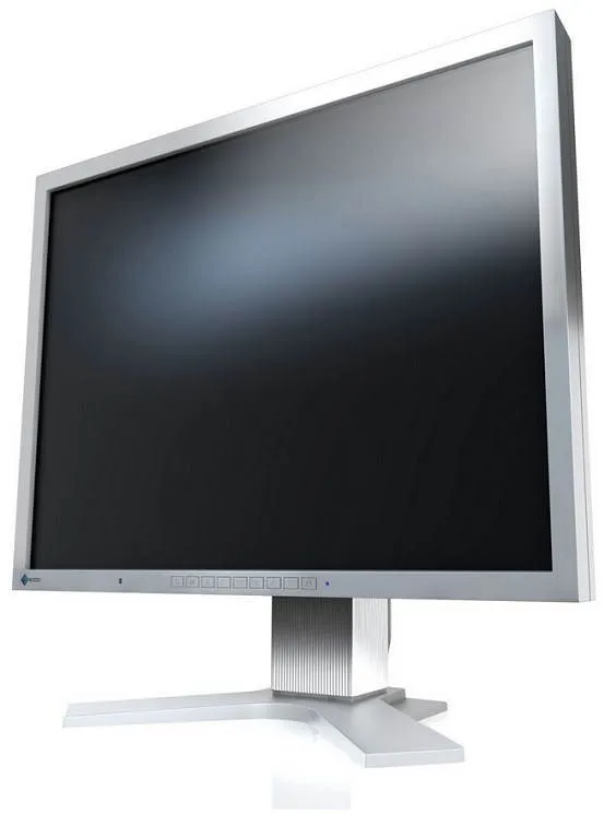LCD monitor 21 "EIZO FlexScan S2133-GY