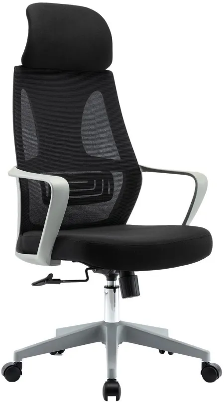 Kancelárska stolička HAWAJ C9011A čierno-šedá